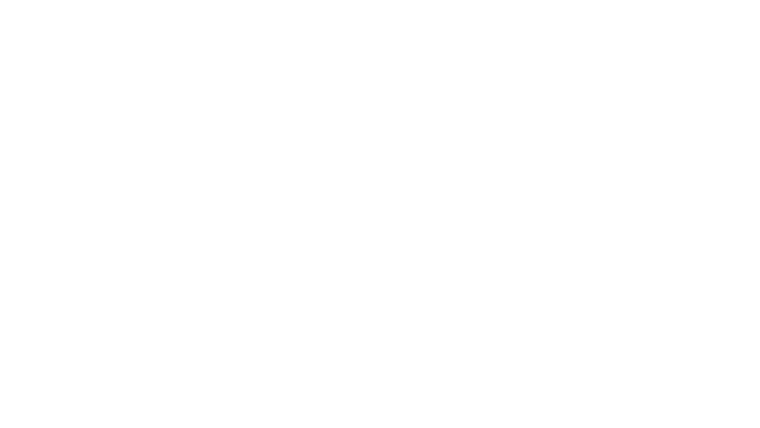 logo_WITSA2